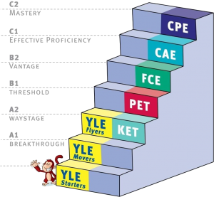 STP Training Cambridge Exams